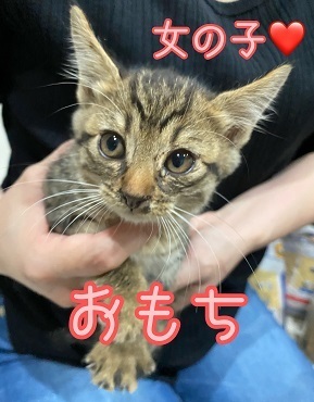 おもち.JPG