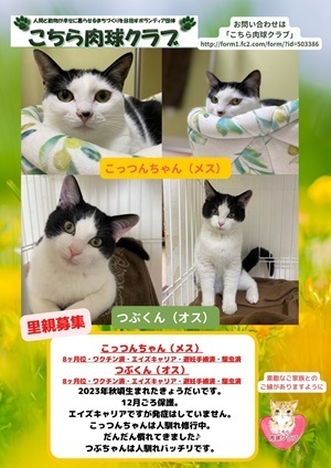 こっつん・メス、つぶくん・オスブログ用.jpg