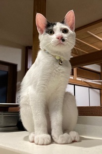 ごまちゃんうらちゃんに改名7.jpeg