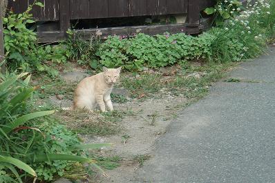 はじめましてベージュちゃん.jpg