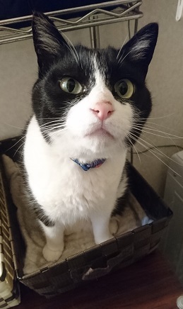 ふく.JPG