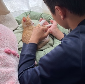 らて君正式譲渡２.JPG