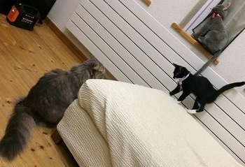 ターコちゃん２.JPG