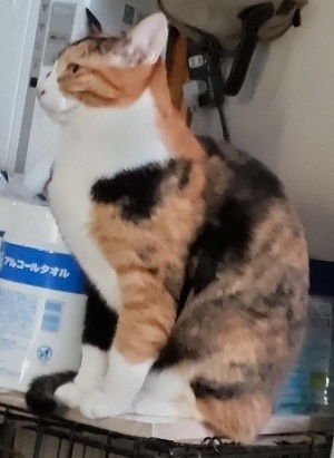 トロワ戻り.JPG