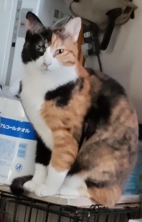 トロワ戻り２.JPG