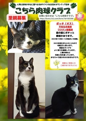 ポッチ君の再募集チラシブログ用.jpg