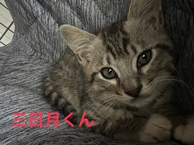 三日月君.jpeg