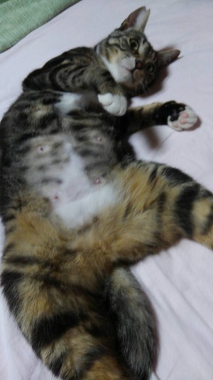 静ちゃん.jpg