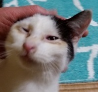 23ウミくん.jpg