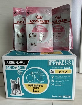6月さらにプレゼントプラスK・Iさん.jpg
