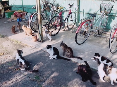 image3.jpeg